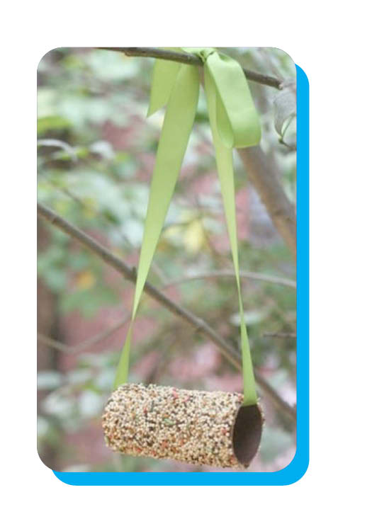 bird feeder