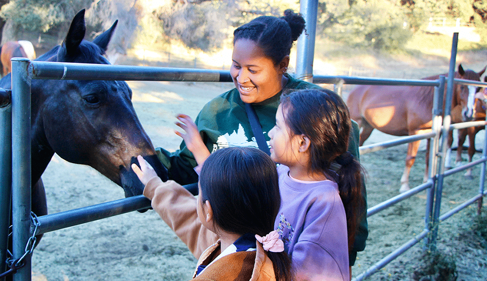 campers feeding horse at raintree ranch